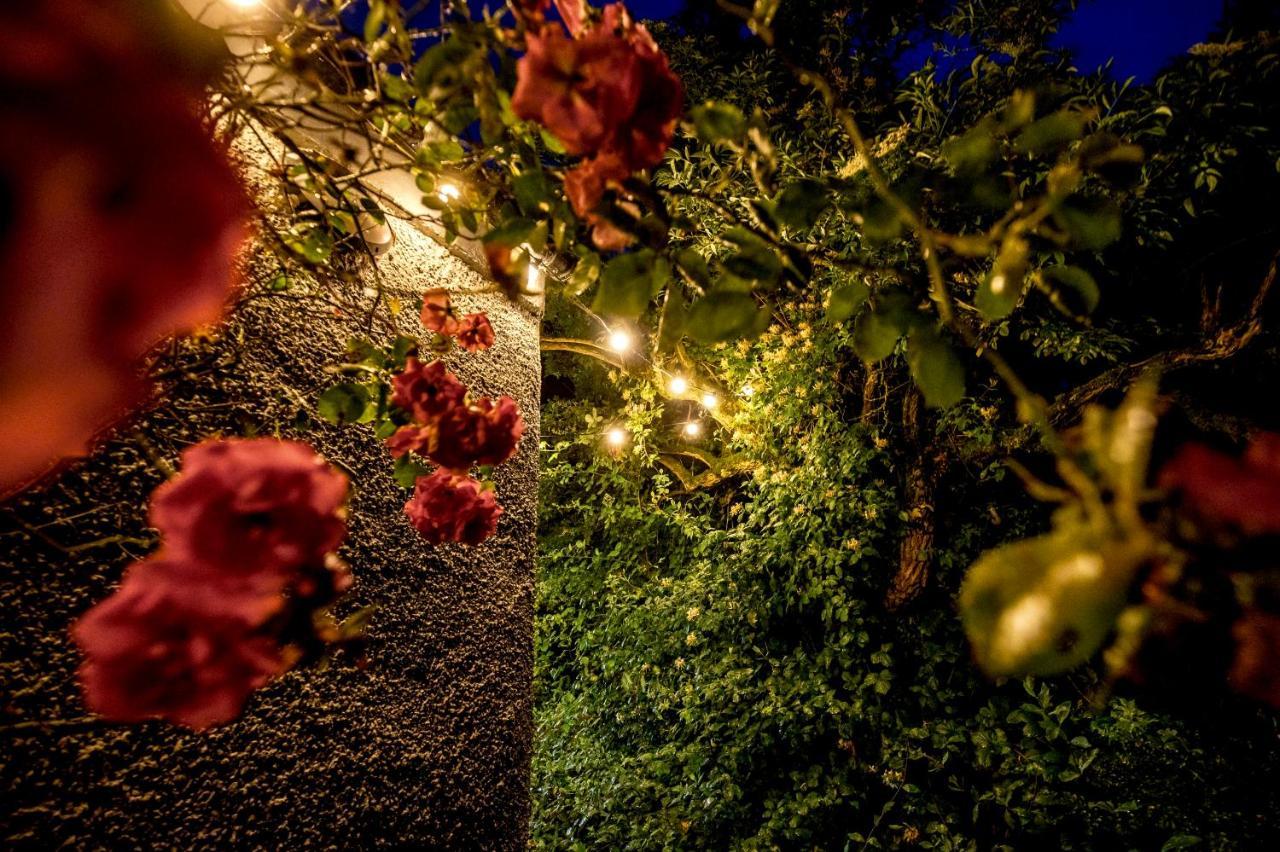The Woods At Whitepark Bay Villa Ballintoy Exterior foto